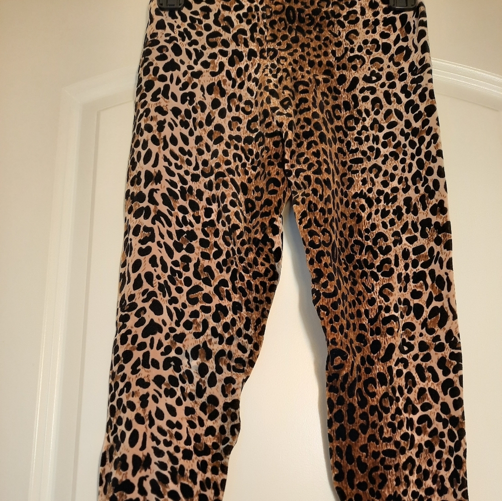Leopard tights